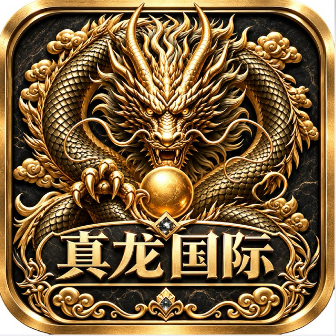 真龙国际